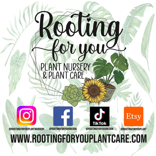 Fruit Bearing Tree and Plant Premium Potting Mix