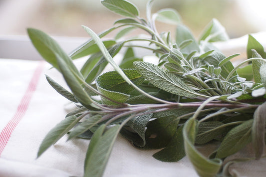 Sage, Rubbed