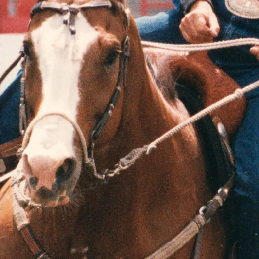 BOZO SIDEPULL CLASSIC EQUINE