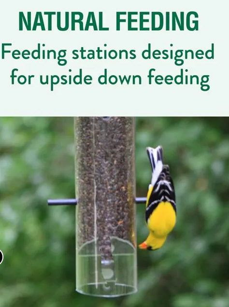 Perky-Pet® Upside Down® Thistle Feeder