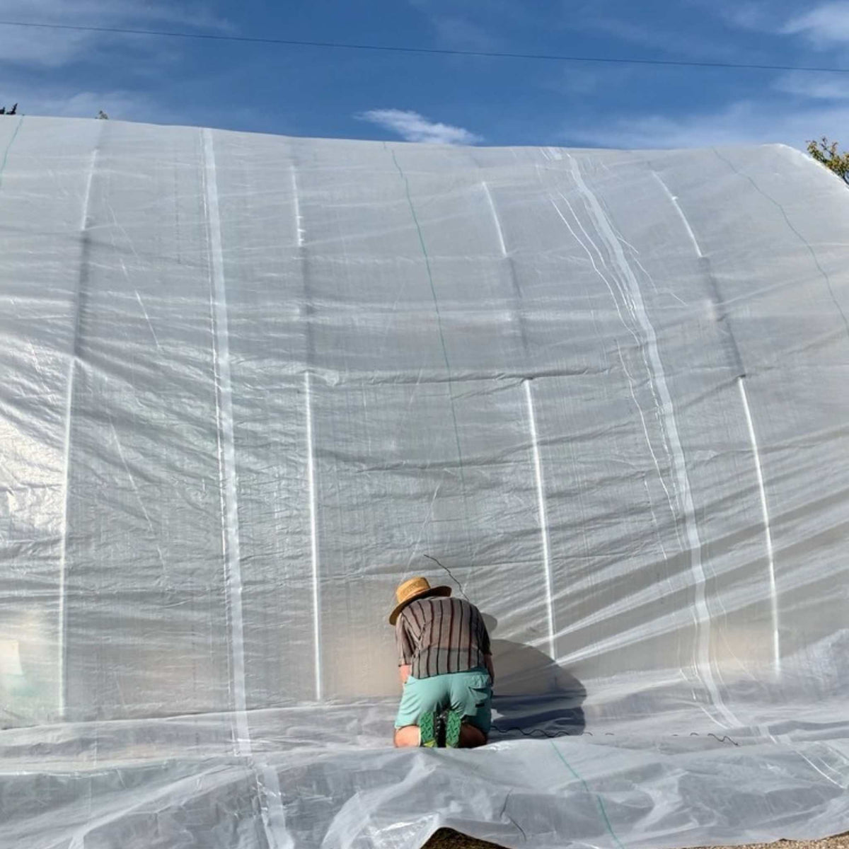 Greenhouse Woven Plastic 8 mil- Solarig 156