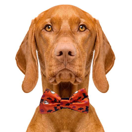Halloween Orange Dog Bow Tie