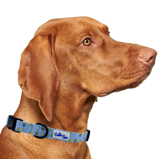 Taco Tuesday Dog Collar