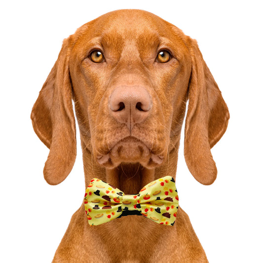 Thanksgiving Dog Bow Tie