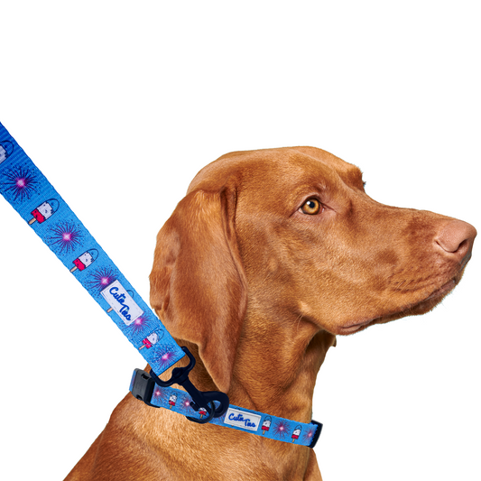 The Fourth USA America Dog Leash