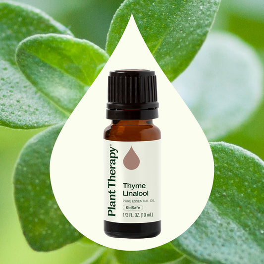 Thyme Linalool Essential Oil