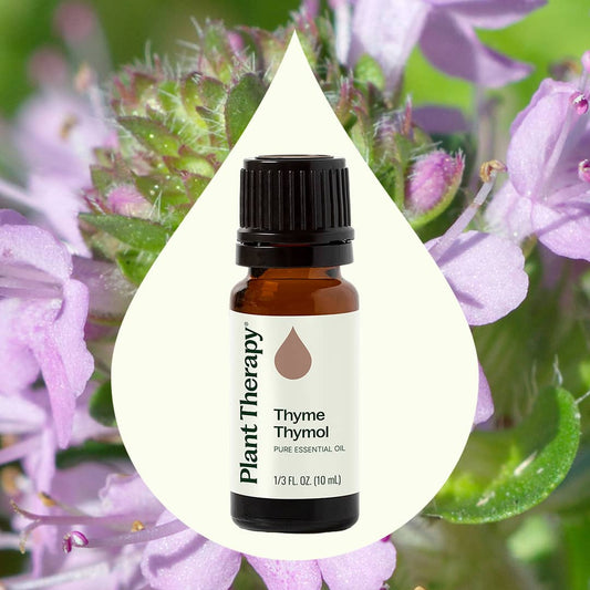 Thyme Thymol Essential Oil