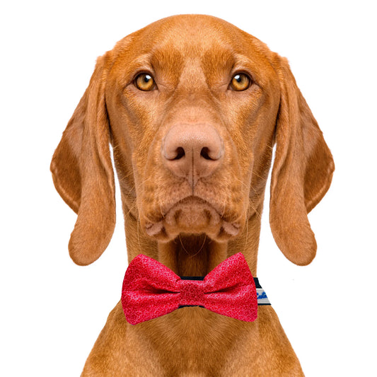 Tiny Flowers Pink Dog Bow Tie