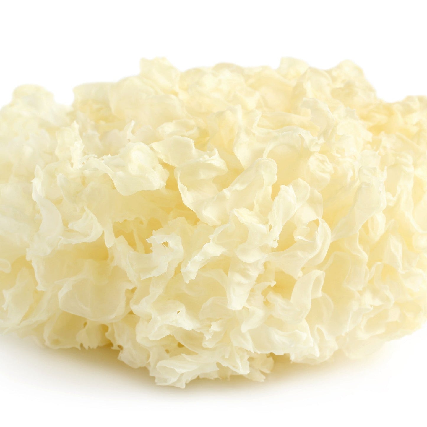 Tremella Extract – 30% Polysaccharides