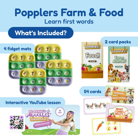 Small School Bundle for K-5 - 🆕 New Arrivals, All Products, Products from The Fidget Games, 🧸 Toys + Games - Little Red General Store