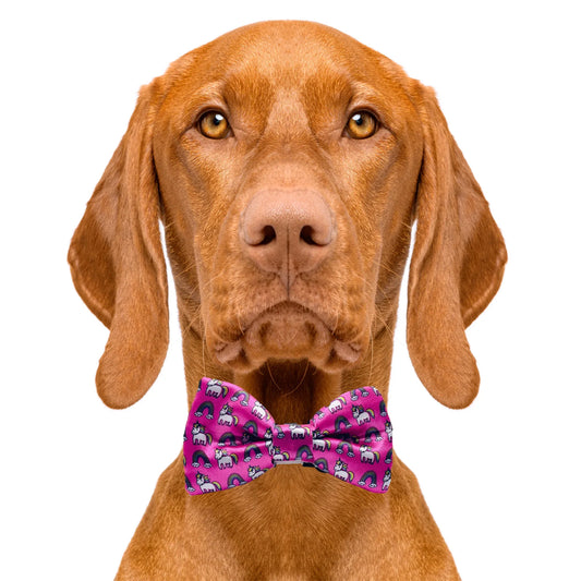 Unicorn Rainbow Dog Bow Tie