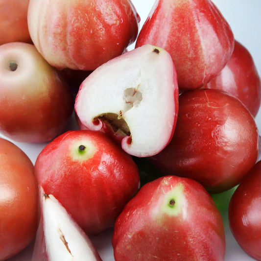 Wax Jambu, Red (Syzygium samarangense)