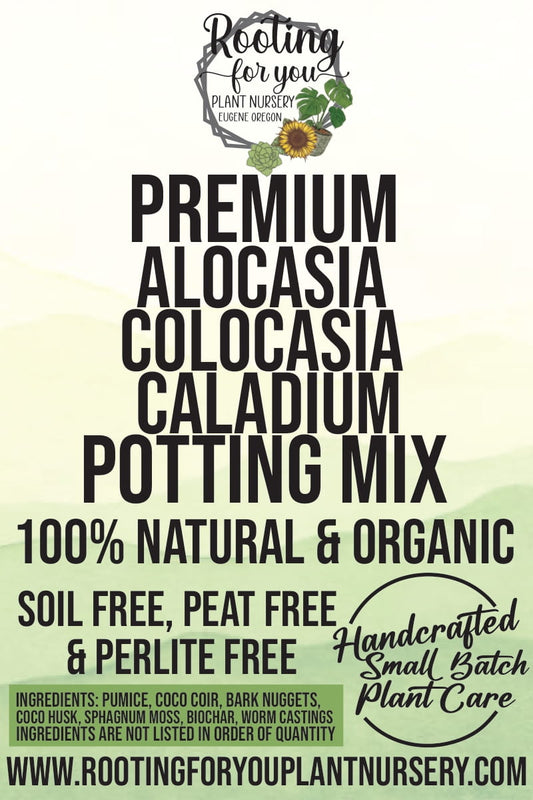 Alocasia - Colocasia - Caladium Premium Potting Mix