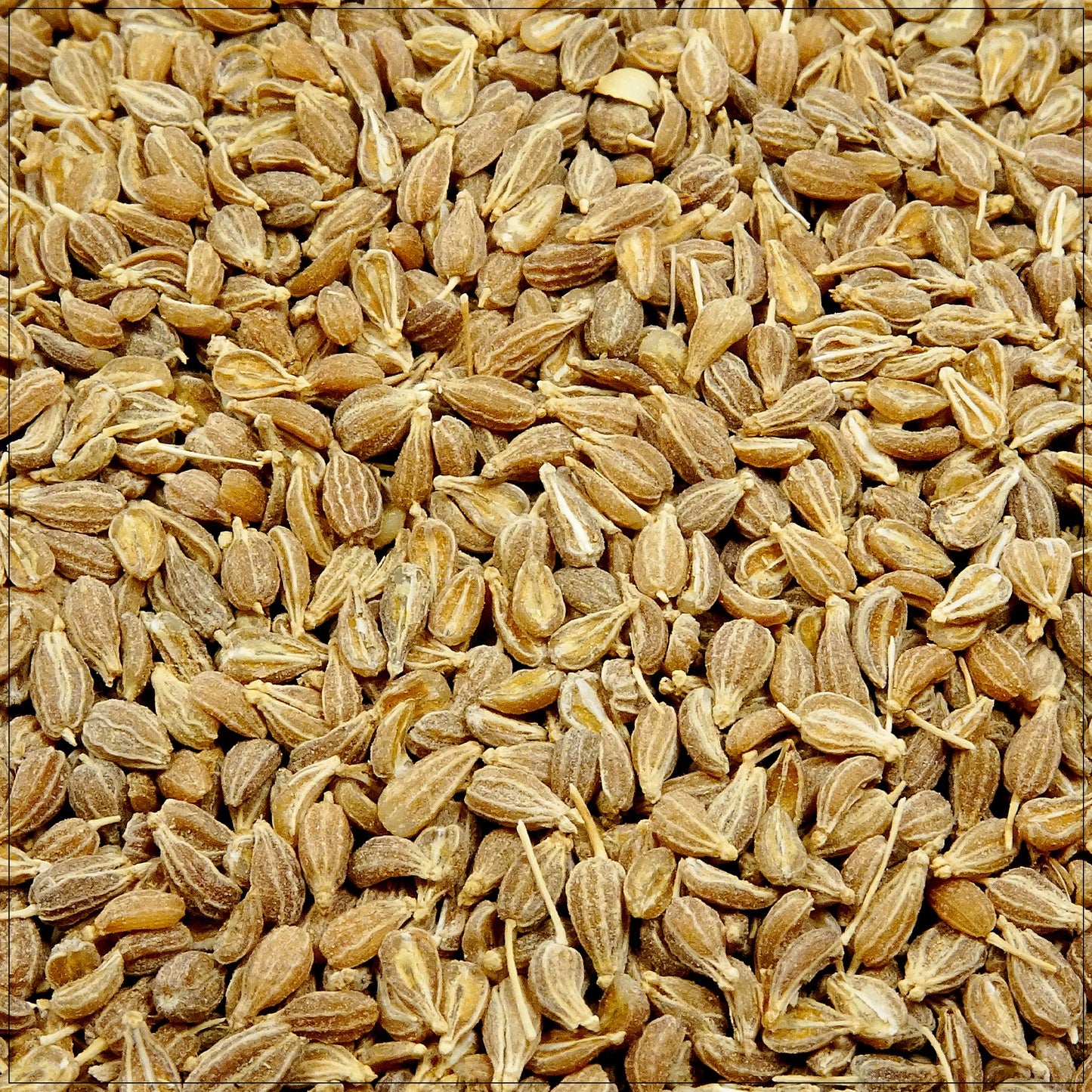 Anise Seeds
