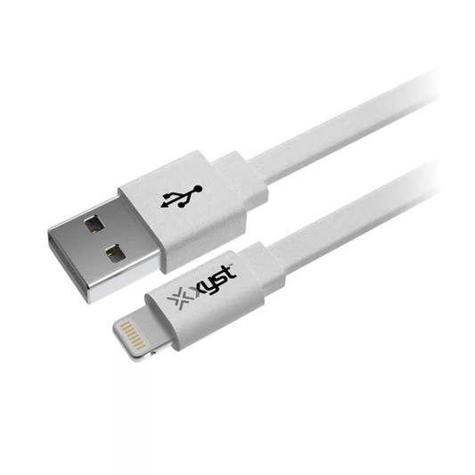 Xyst 2.4-Amp Dual USB Wall Charger With 4Ft Lightning Cable