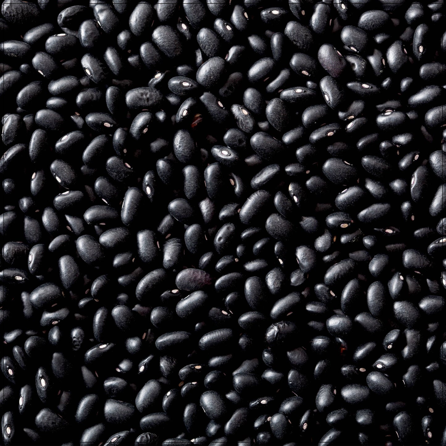 Black Turtle Beans