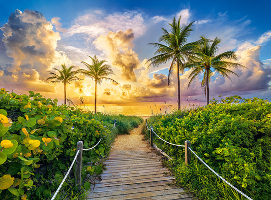 3000 Piece Jigsaw Puzzles, Colorful Sunrise in Miami, USA, Adult Puzzles, Castorland C - 300617 - 2 - Bridge Toys - Premium Jigsaw Puzzles - Little Red General Store