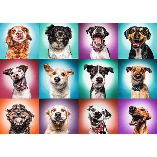 2000 piece Jigsaw Puzzles - Funny dog portraits II, Pets Puzzle, Adult Puzzles, Trefl 27119 - Bridge Toys - Premium Jigsaw Puzzles - Little Red General Store
