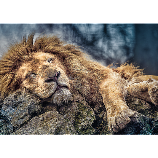 1000 Piece Jigsaw Puzzles, Sleeping Lion, Wild Animal Puzzle, Big Cats Puzzle, Adult Puzzles, Trefl 10447 - Bridge Toys - Premium Jigsaw Puzzles - Little Red General Store