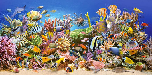 4000 Piece Jigsaw Puzzle, Underwater life, Sealife, Ocean, Adult Puzzles, Castorland C - 400089 - 2 - Bridge Toys - Premium Jigsaw Puzzles - Little Red General Store