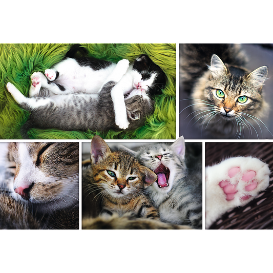 1500 Piece Jigsaw Puzzle, Just Cat Things Collage, Pets, Cats and Kittens, Animal Collage, Adult Puzzles, Trefl 26145 - Bridge Toys - Premium Jigsaw Puzzles - Little Red General Store