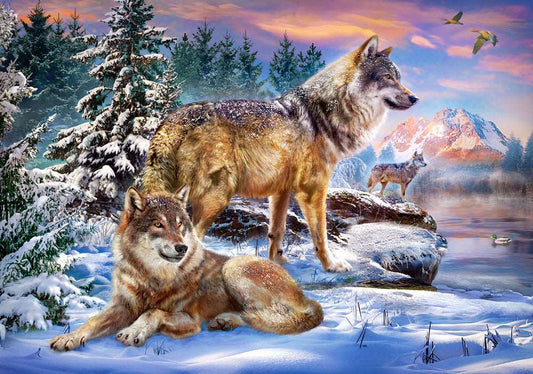500 Piece Jigsaw Puzzle, Wolfish Wonderland, Winter scenery, Animal Puzzle, Adult Puzzles, Castorland B - 53049 - Bridge Toys - Premium Jigsaw Puzzles - Little Red General Store
