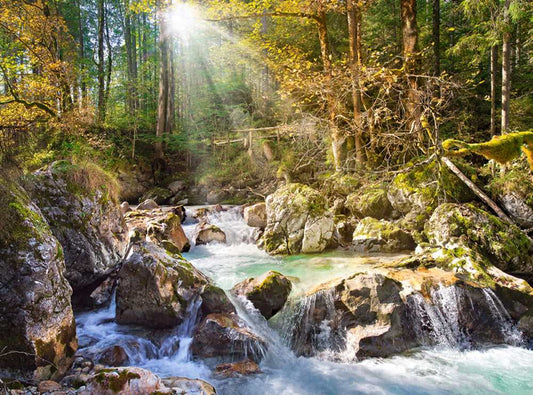 2000 Piece Jigsaw Puzzle, The forest stream, Mountain stream, Nature, Adult Puzzles, Castorland C - 200382 - 2 - Bridge Toys - Premium Jigsaw Puzzles - Little Red General Store