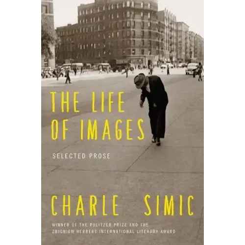 The Life of Images: Selected Prose