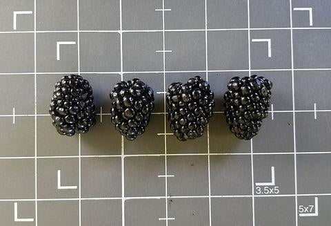 Blackberry, Thorn-free 'Caddo' (12-18 inch bare root plant)