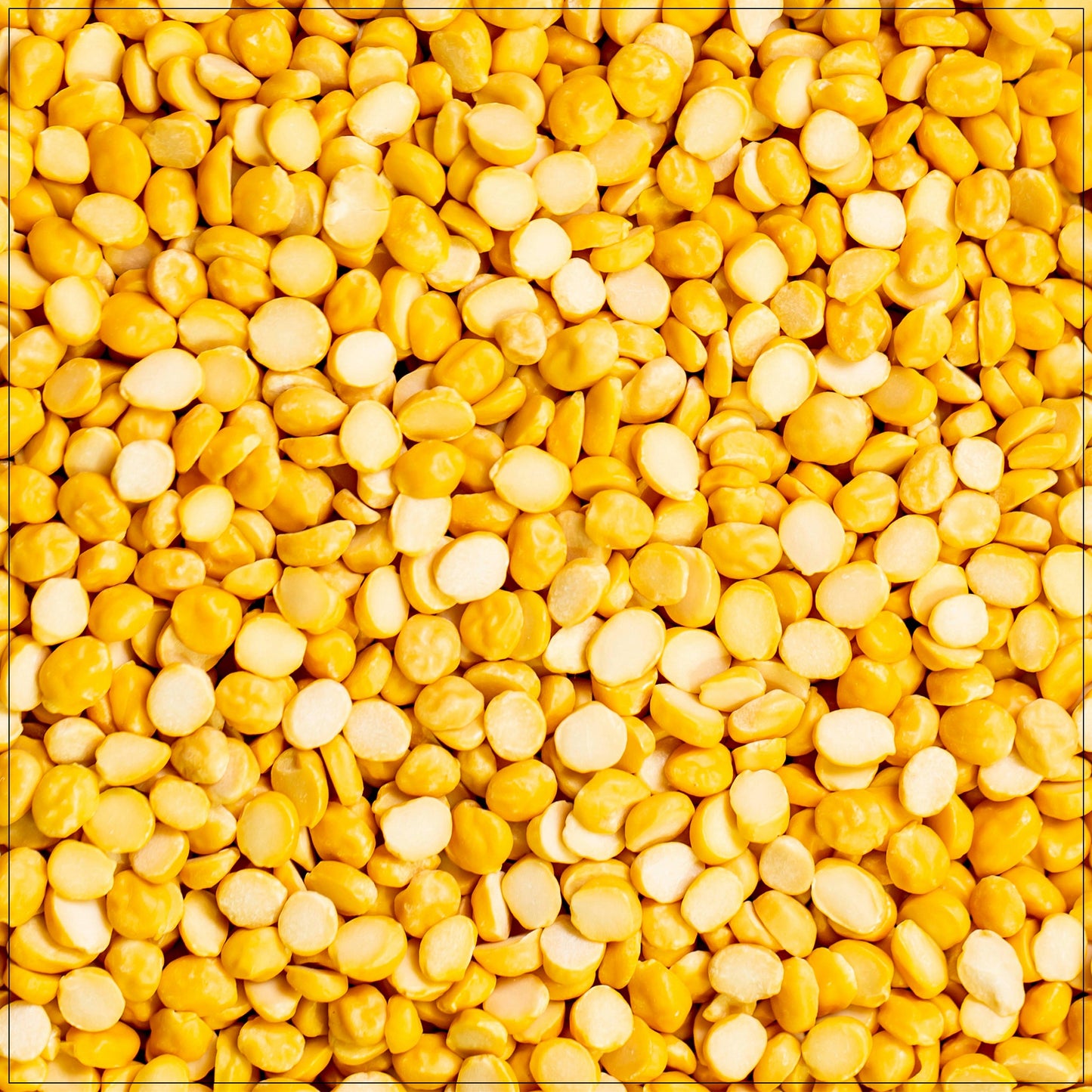 Chana Dal Split
