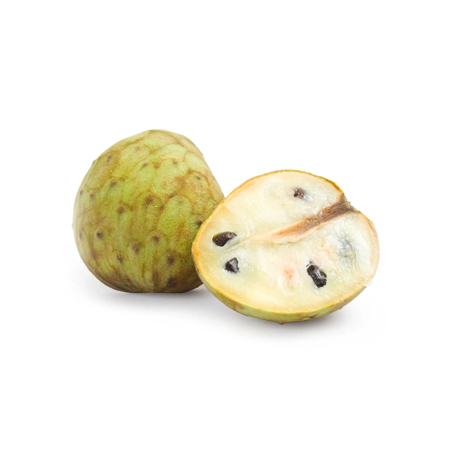 Cherimoya (Annona cherimola)