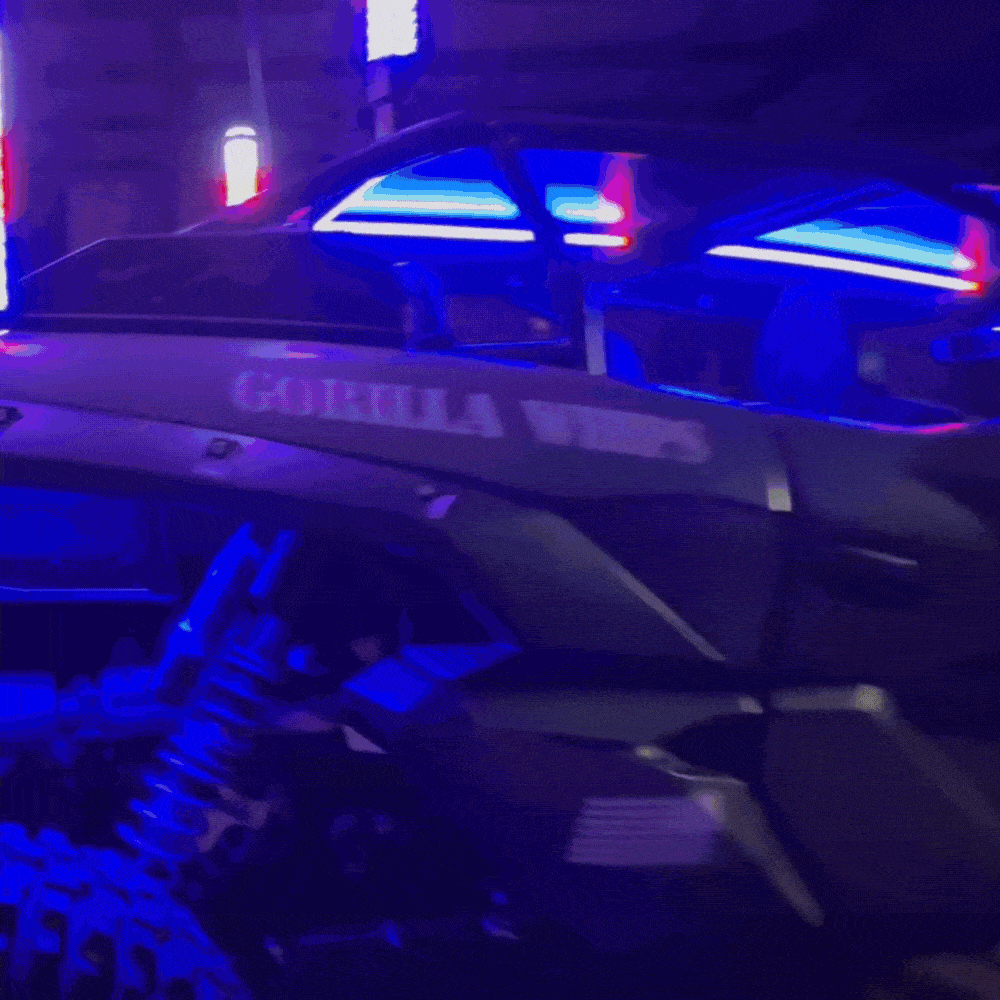Chunky Monkey Apex Single - Full Vehicle Lighting Packages (15% Off Rock Lights & Strips W/ LED Whips)