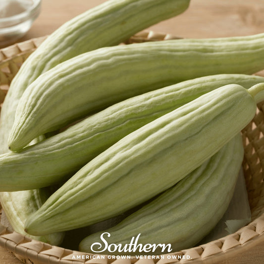 Armenian Yard-Long Cucumber – 30 Seeds