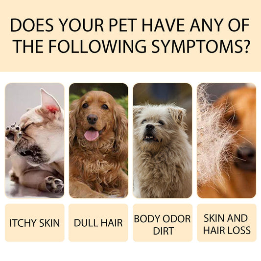Dog Wet Shampoo