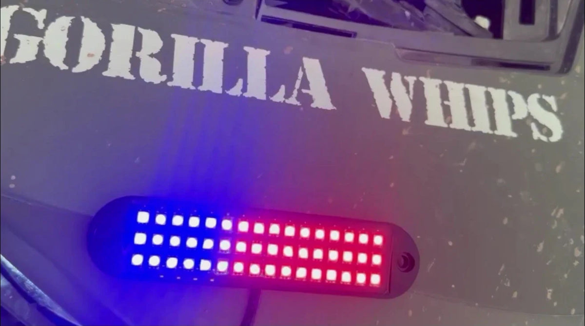Chunky Monkey Apex Single - Full Vehicle Lighting Packages (15% Off Rock Lights & Strips W/ LED Whips)