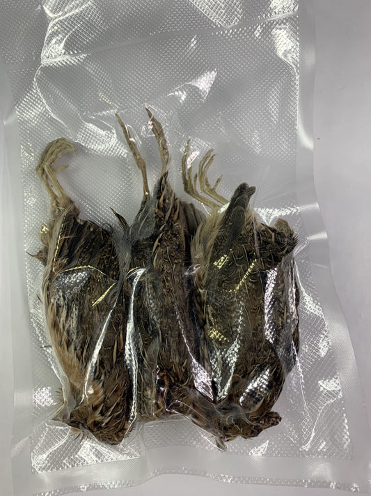 Quail Whole Pray dehydrated for Bird Dog Training or Falconry