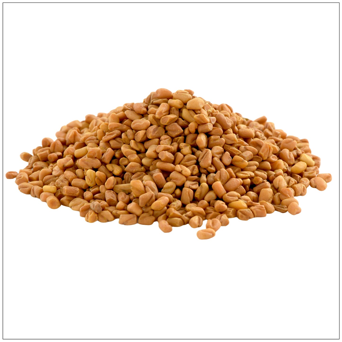 Fenugreek Seeds