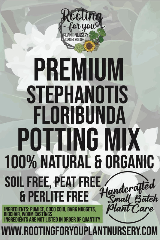 Stephanotis Floribunda Premium Potting Mix