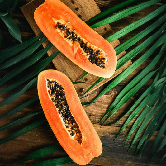 Papaya 'Dwarf Red Lady' (Carica papaya)