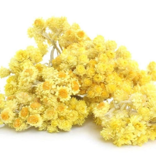Helichrysum Italicum (IMM/EVER) Water Hydrosol