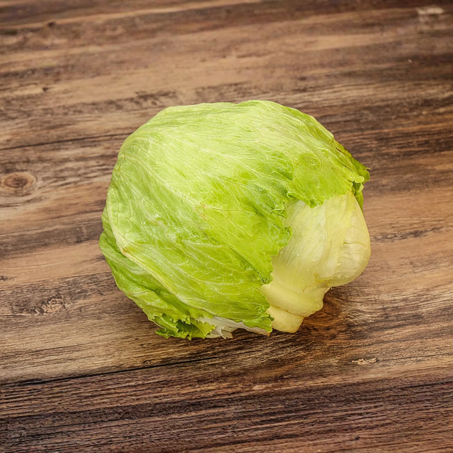 1000 Iceberg Lettuce Seeds – Lactuca sativa – Crisp, Refreshing, Great for Salads, Sandwiches, High-Yield, Non-GMO
