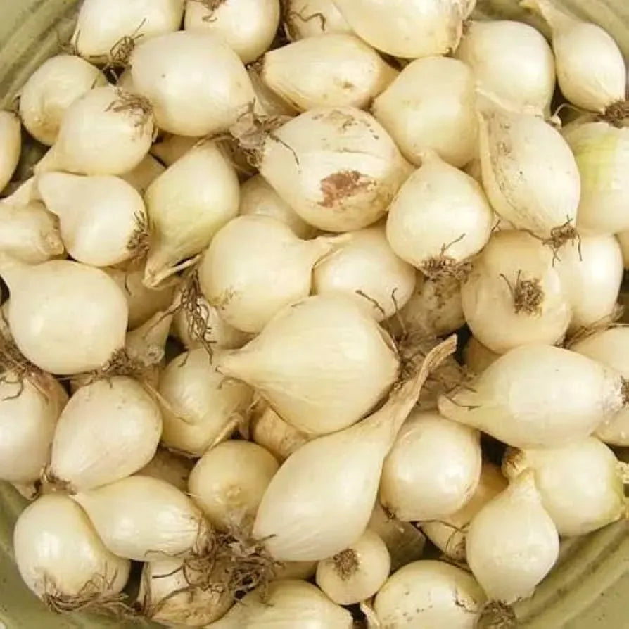 White Onion Sets โ Naturally Grown, Non-GMO | 8 oz. (40-60 Bulbs) | Easy to Grow & Store | Shipping Now