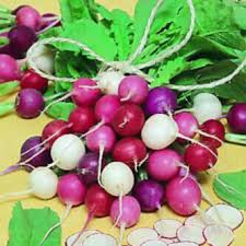 500+ Easter Egg Radish Seeds β Colorful Heirloom Blend, Fast-Growing & Crisp