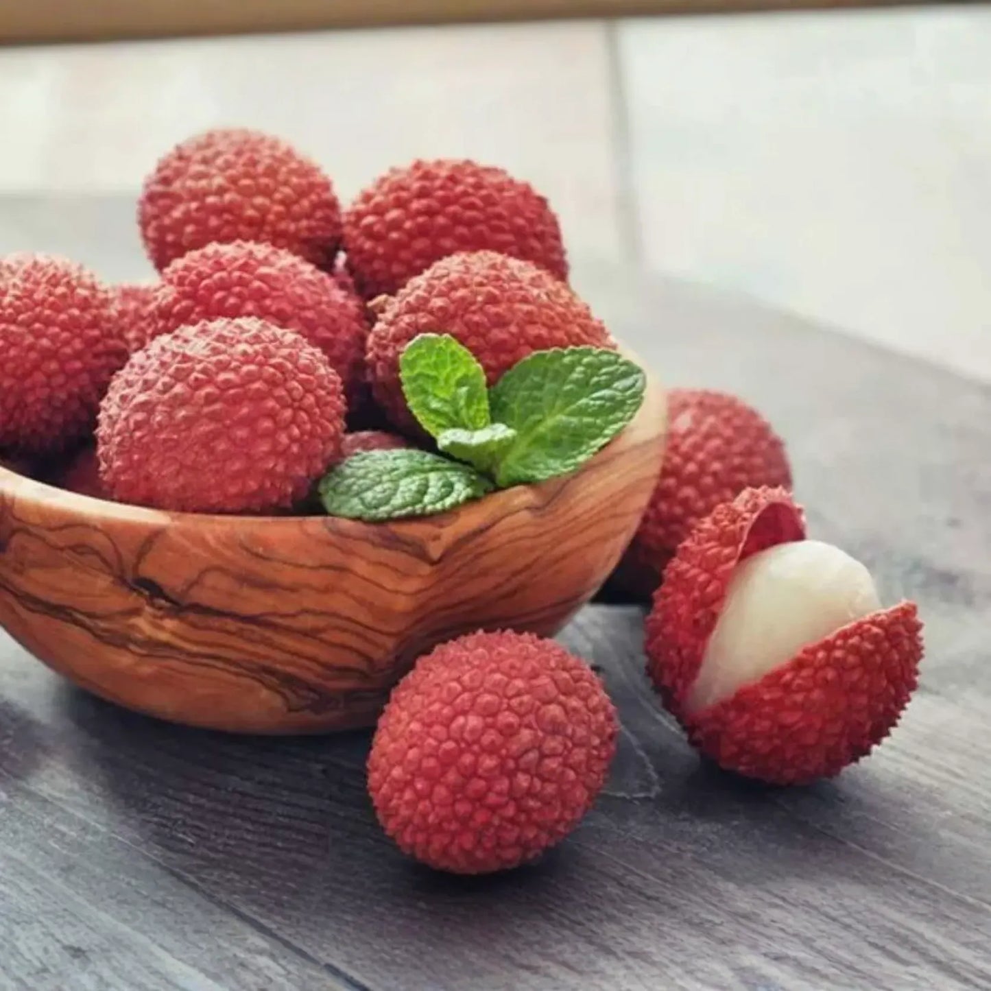 1 Lychee (Litchi chinensis) Tropical Live Fruit Tree – 12”-24” Rooted Cutting, Sweet Fragrant Fruit, Rare Exotic Starter Plant