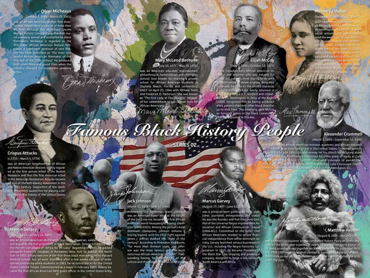 Famous Black History People Poster Series 1-5 (Bundle)