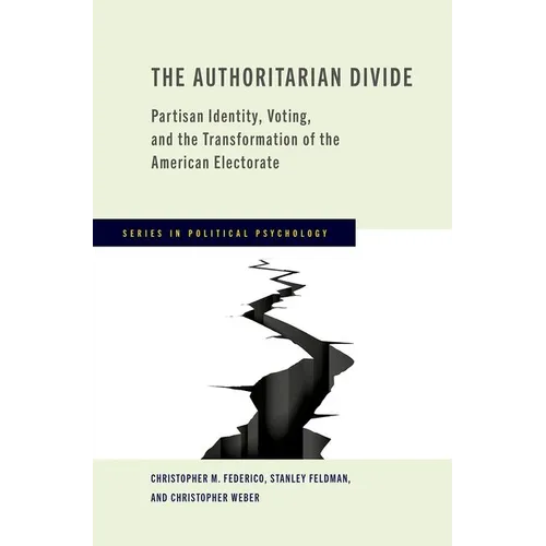 The Authoritarian Divide: Partisan Identity, Voting, and the Transformation of the American Electorate