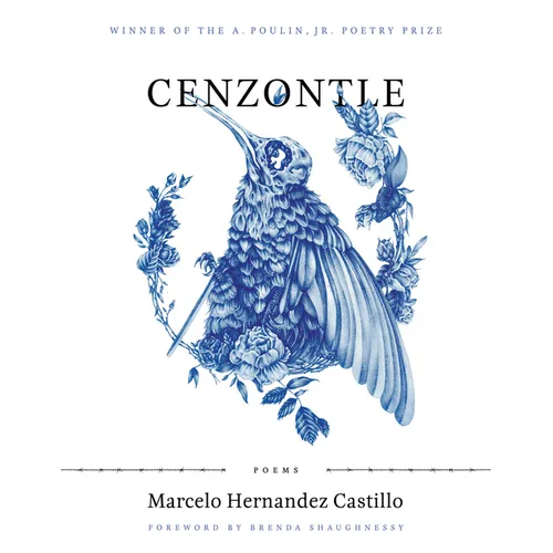 Cenzontle
