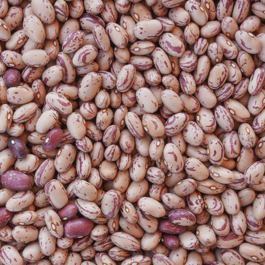 Hasata Barbunya 1Kg