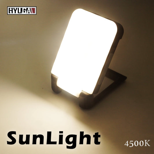 LED Camping Lantern Rechargeable Light 10,000mAh Power Bank Tent Lamp IP64 Waterproof 800LM 5 Light Modes for Camping, Hiking, Hurricane Emergency, Home use and Car (1 PCS) - PA LED BULB - HYUGA - Little Red General Store