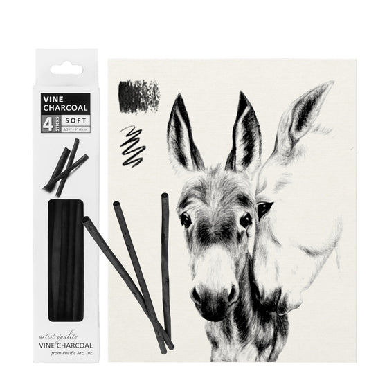 Pacific Arc - Artist Vine Charcoal, Soft, Black 4 Charcoal Sticks for Drawing, Sketching, and Fine Art - Pacific Arc - Little Red General Store
